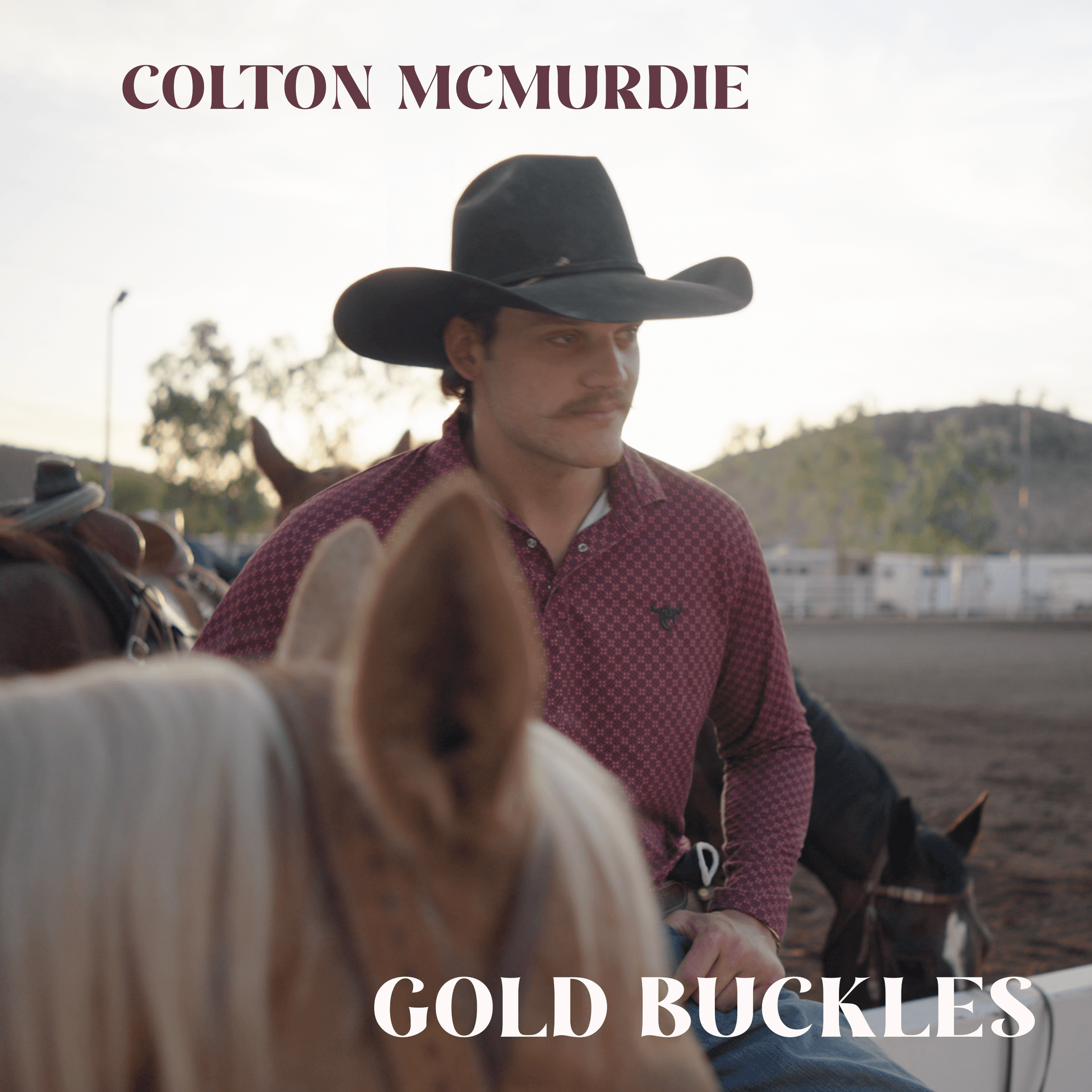Gold Buckles Cover
